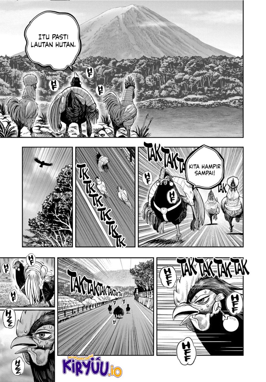 Dilarang COPAS - situs resmi www.mangacanblog.com - Komik rooster fighter 036 - chapter 36 37 Indonesia rooster fighter 036 - chapter 36 Terbaru 22|Baca Manga Komik Indonesia|Mangacan