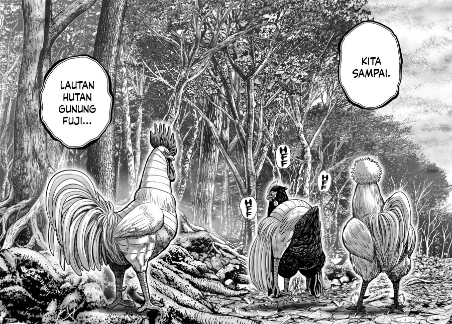 Dilarang COPAS - situs resmi www.mangacanblog.com - Komik rooster fighter 036 - chapter 36 37 Indonesia rooster fighter 036 - chapter 36 Terbaru 23|Baca Manga Komik Indonesia|Mangacan