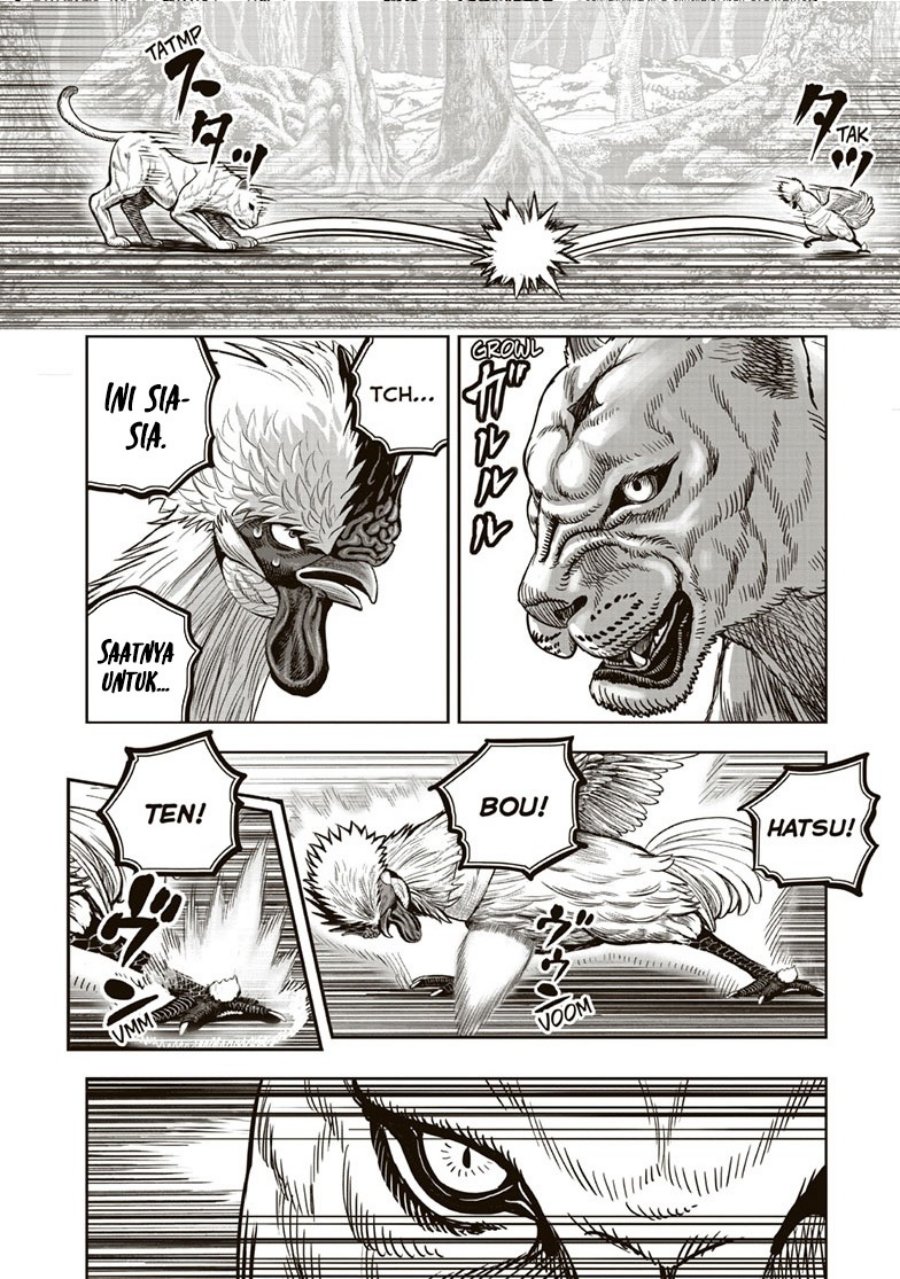 Dilarang COPAS - situs resmi www.mangacanblog.com - Komik rooster fighter 037 - chapter 37 38 Indonesia rooster fighter 037 - chapter 37 Terbaru 32|Baca Manga Komik Indonesia|Mangacan