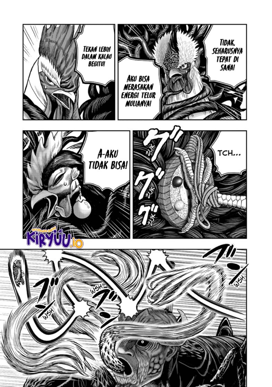 Niwatori Fighter (Rooster Fighter) Chapter 45 Bahasa Indonesia