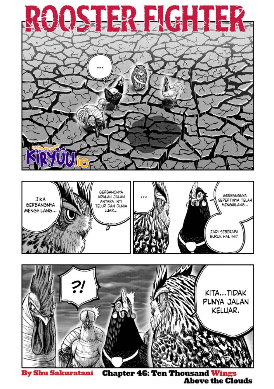 Niwatori Fighter (Rooster Fighter) Chapter 46 Bahasa Indonesia