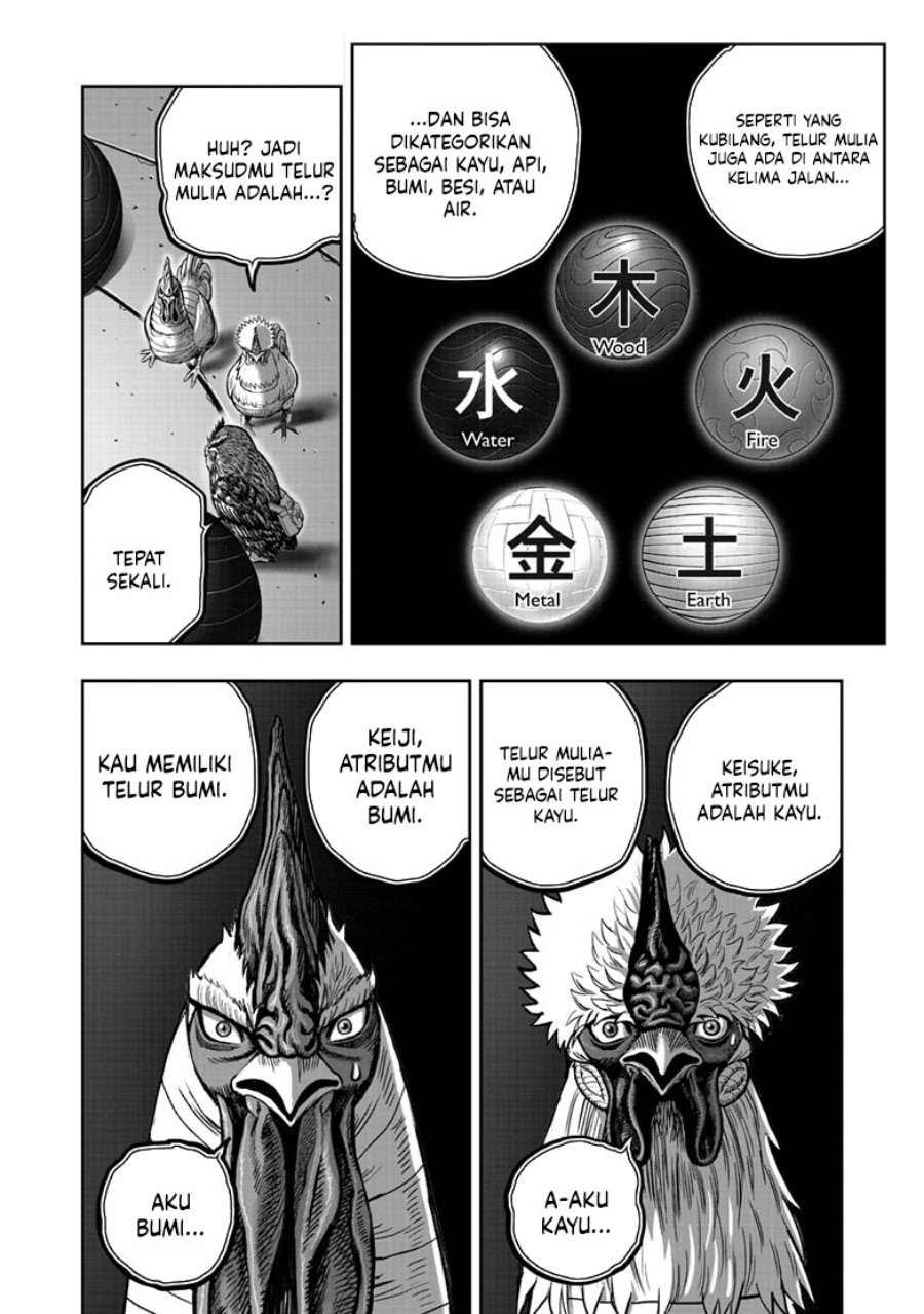 Niwatori Fighter (Rooster Fighter) Chapter 46 Bahasa Indonesia