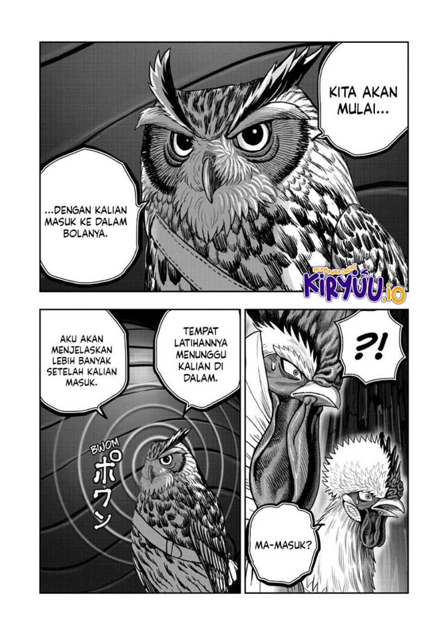 Niwatori Fighter (Rooster Fighter) Chapter 46 Bahasa Indonesia