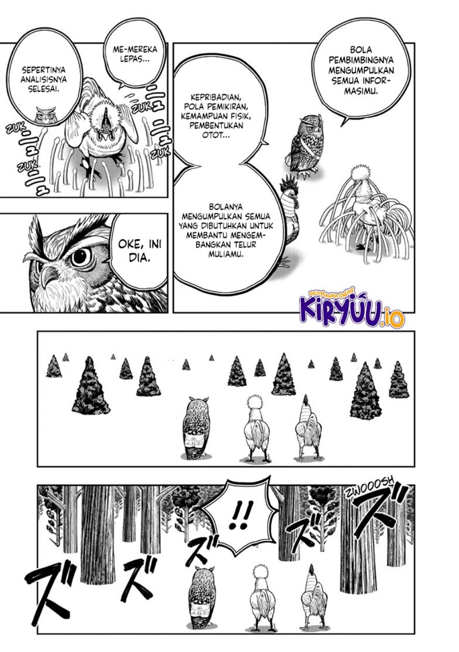 Niwatori Fighter (Rooster Fighter) Chapter 46 Bahasa Indonesia