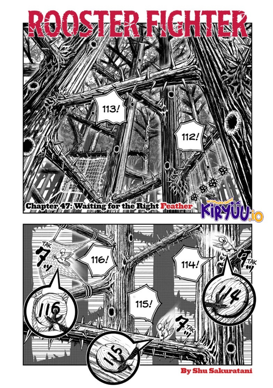 Rooster Fighter chapter 47
