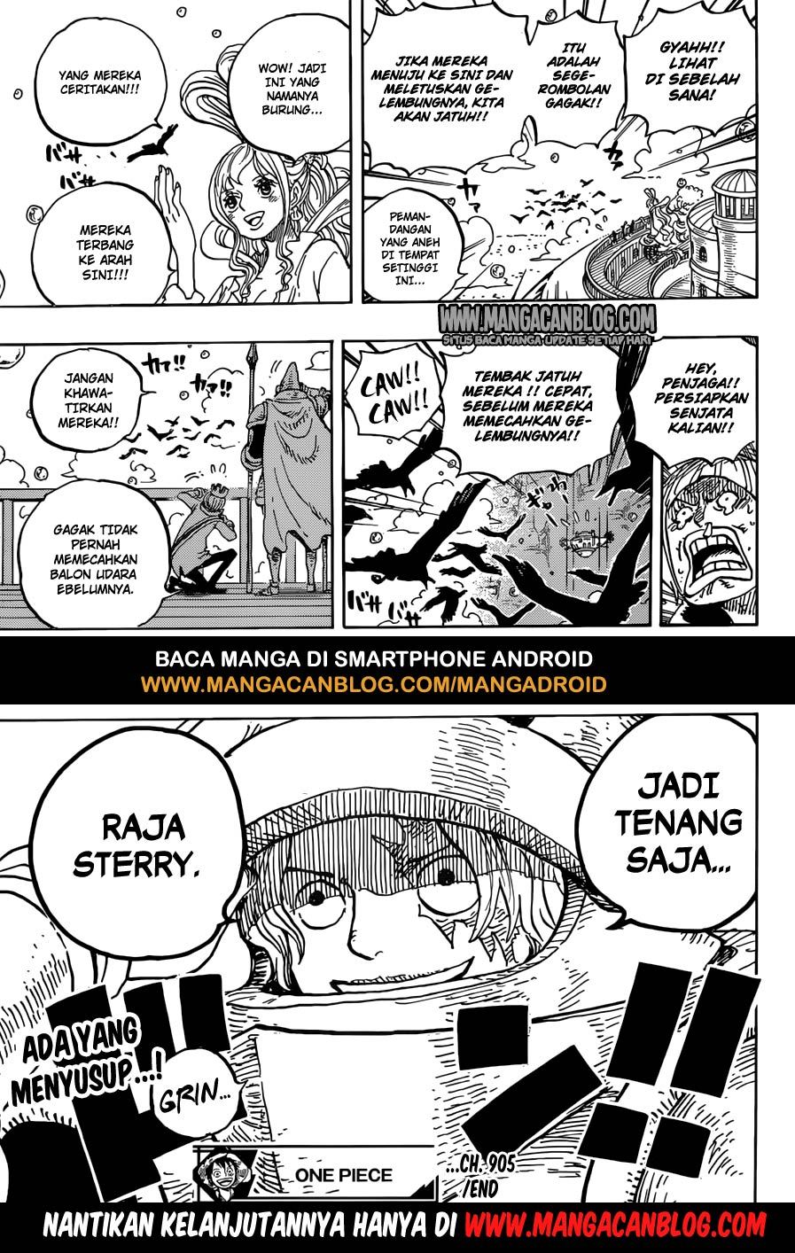 One Piece Chapter 905 Bahasa Indonesia