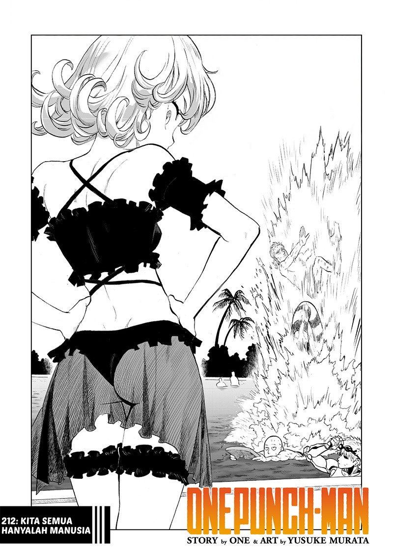 One Punch Man chapter 212