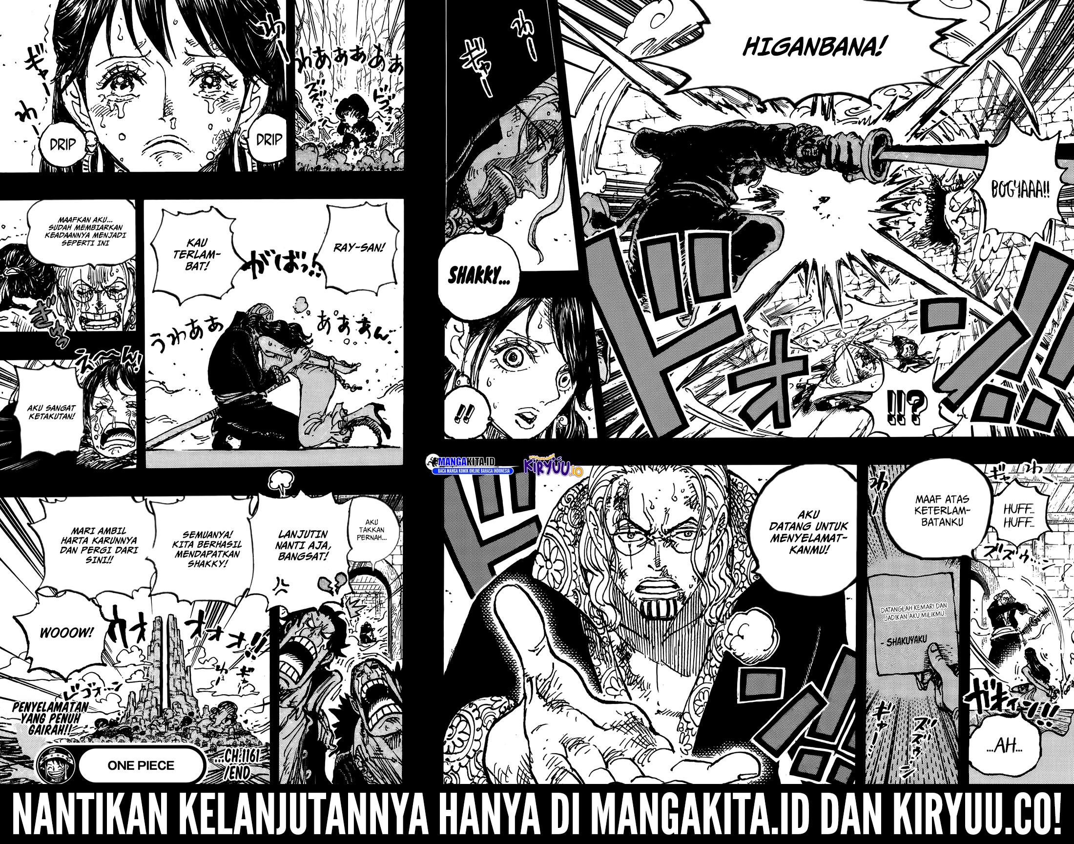One Piece chapter 1161