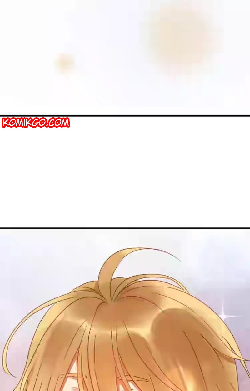 Picked Up A Little Fox Chapter 02 Bahasa Indonesia