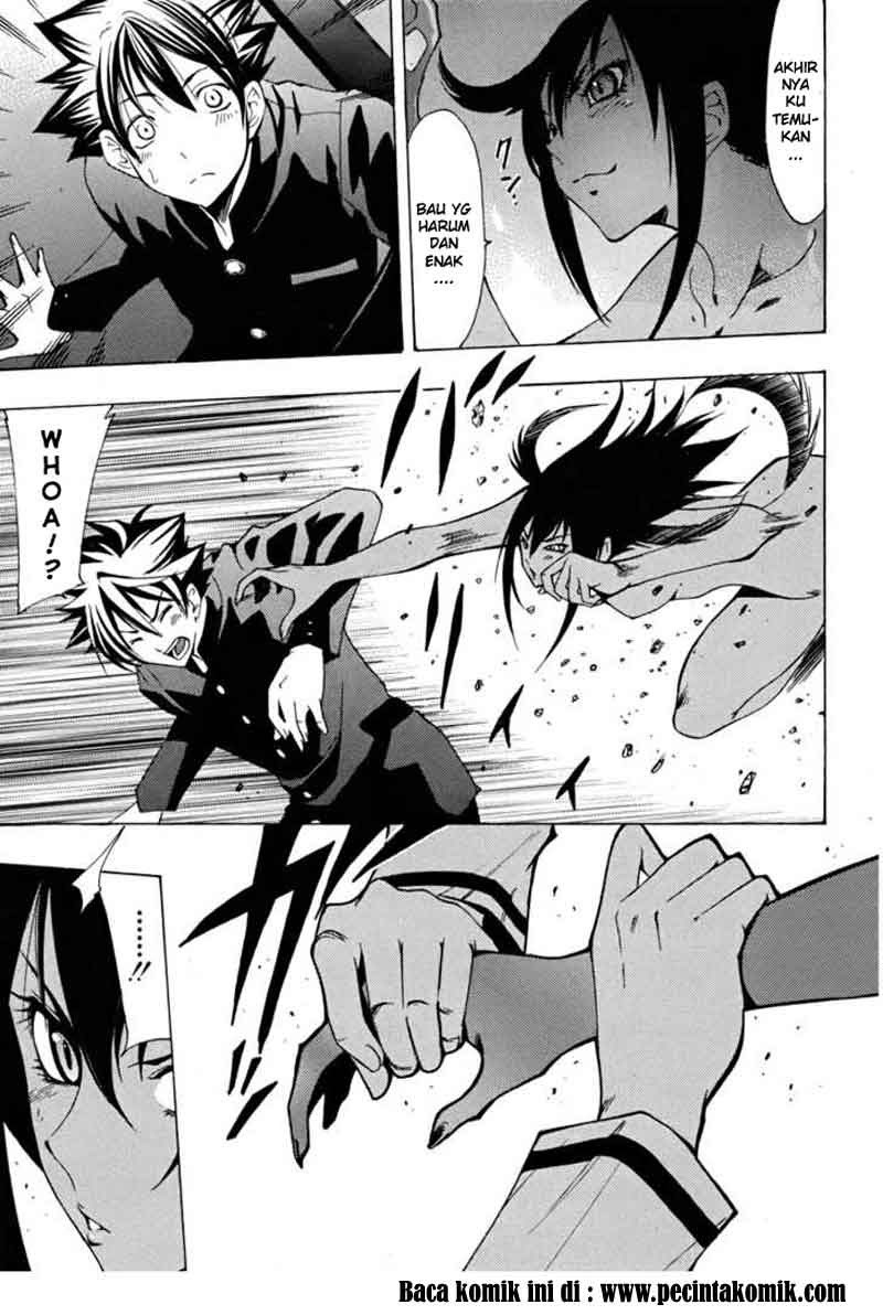 Princess Lucia Chapter 13