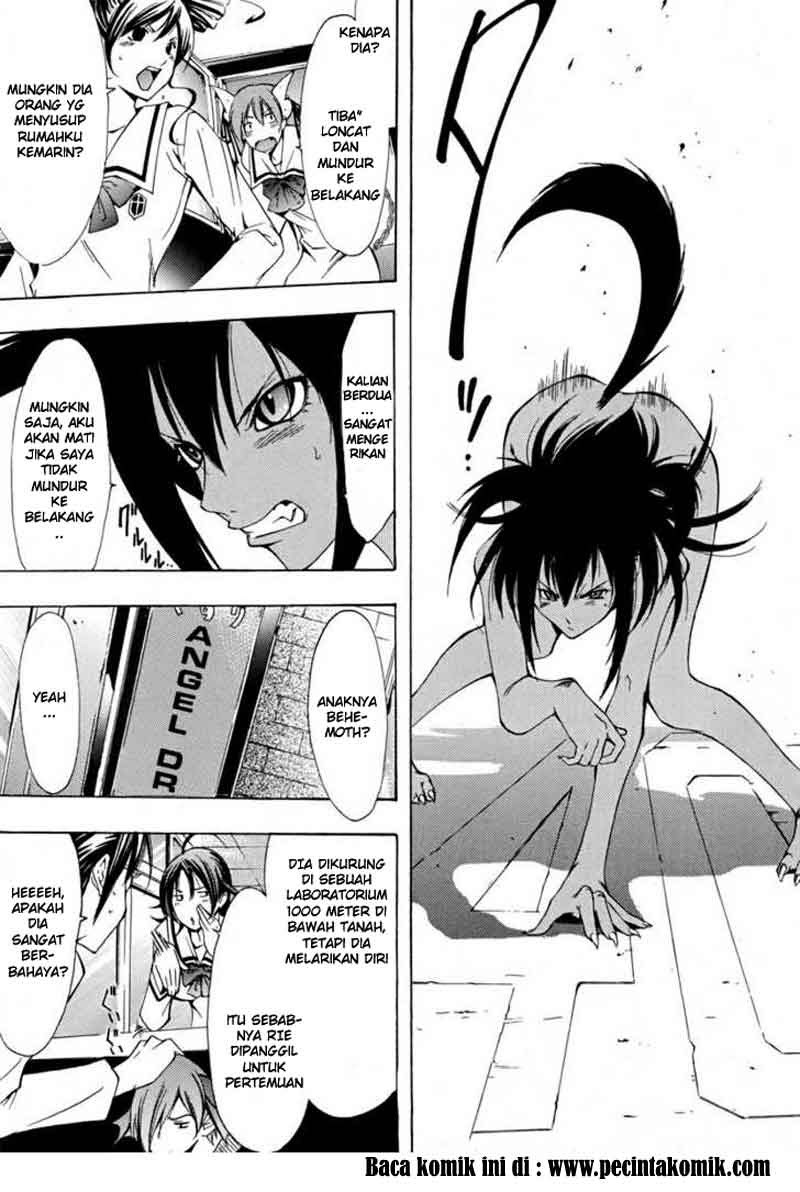 Princess Lucia Chapter 13