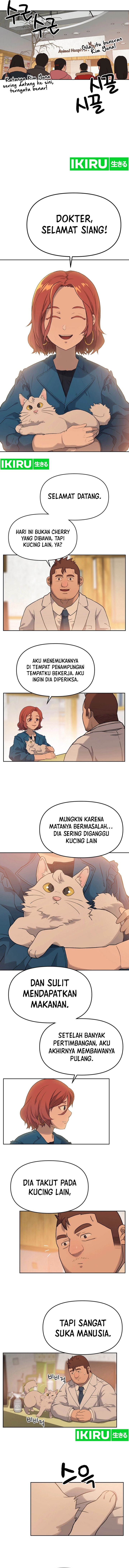Rainbow Bridge Watchman Chapter 17 Bahasa Indonesia