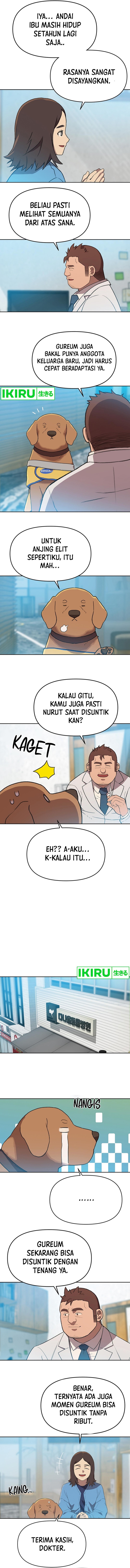 Rainbow Bridge Watchman chapter 104