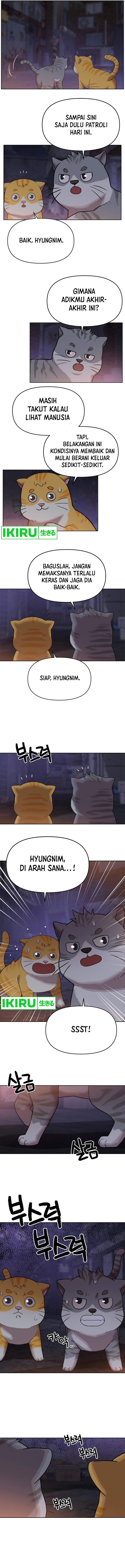 Rainbow Bridge Watchman chapter 108