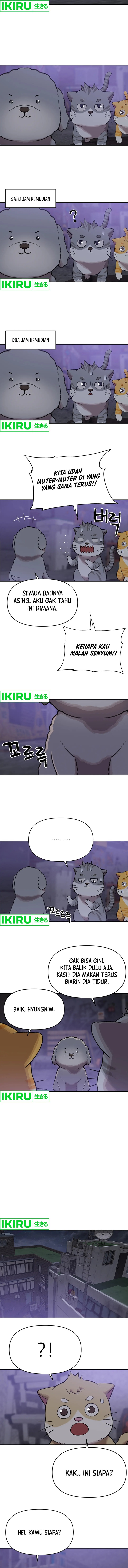 Rainbow Bridge Watchman chapter 109