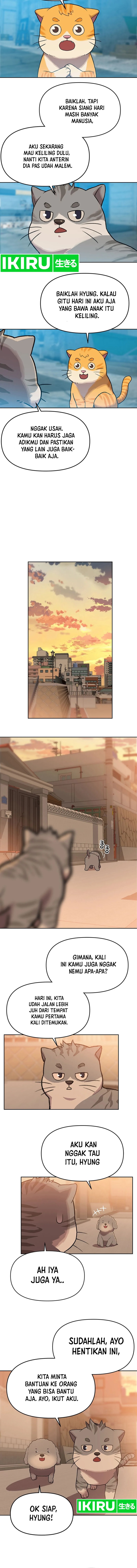 Rainbow Bridge Watchman Chapter 112 Bahasa Indonesia