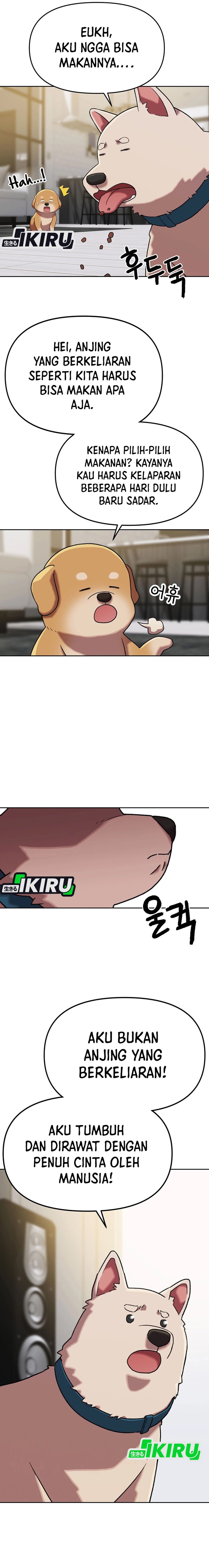 Rainbow Bridge Watchman chapter 167