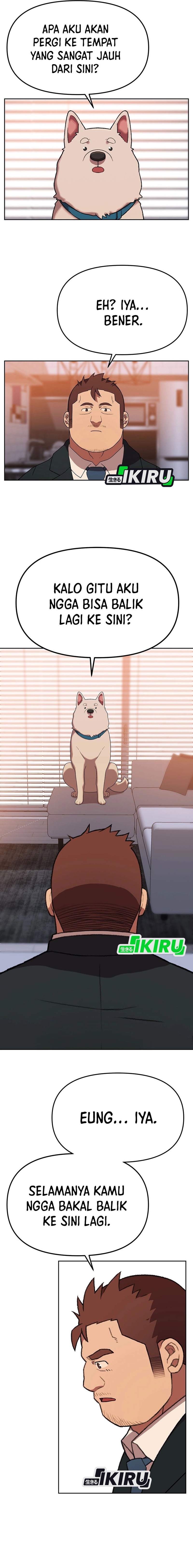 Rainbow Bridge Watchman chapter 167