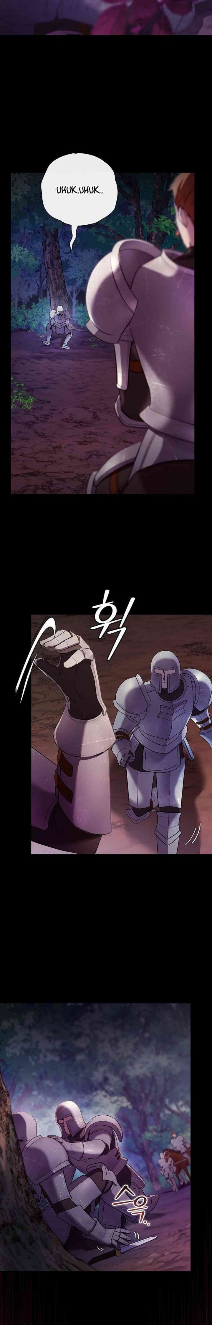 Reincarnated as the Archduke’s Son (A Mercenary’s Rebirth Among Nobles) chapter 1