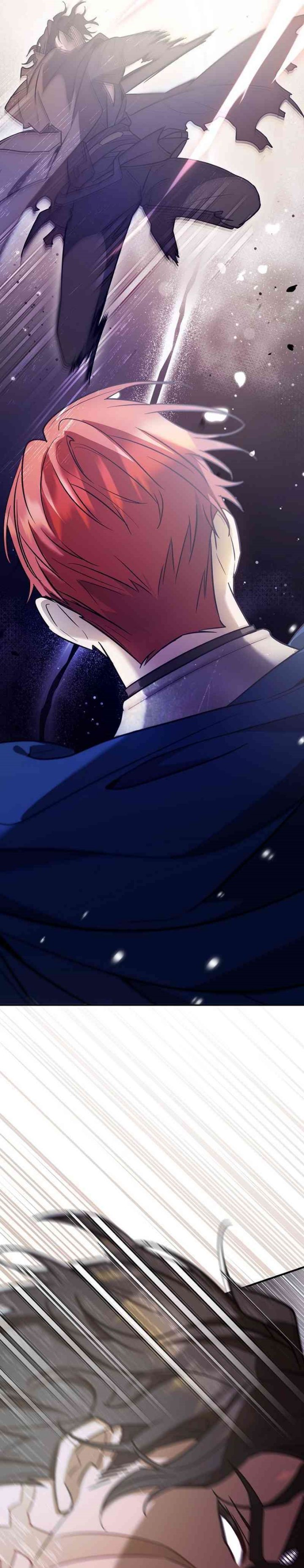 Reincarnated as the Archduke’s Son (A Mercenary’s Rebirth Among Nobles) chapter 1