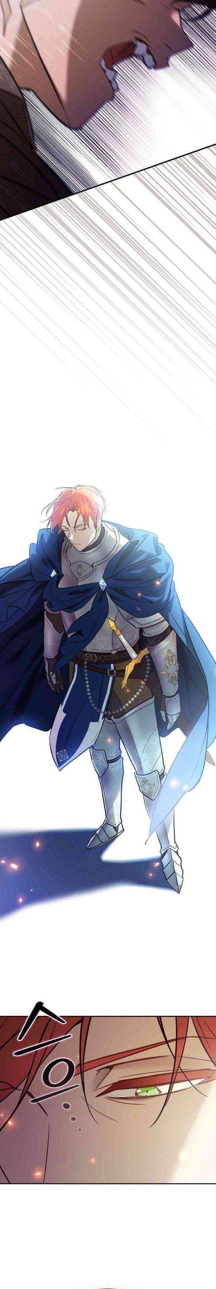 Reincarnated as the Archduke’s Son (A Mercenary’s Rebirth Among Nobles) chapter 1