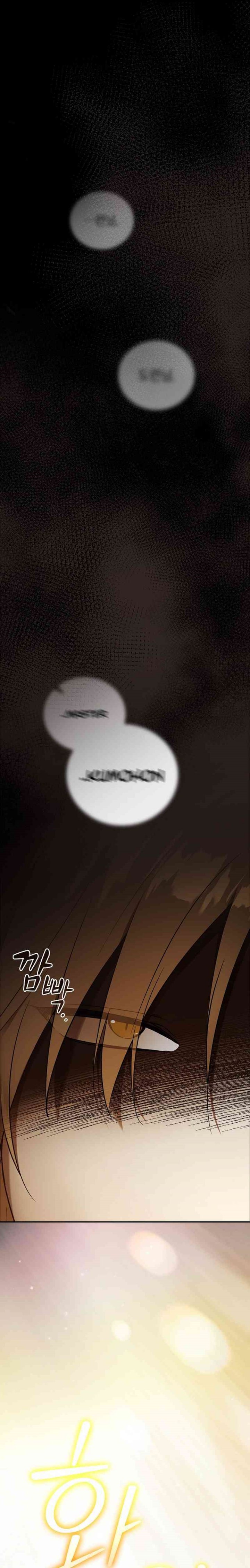 Reincarnated as the Archduke’s Son (A Mercenary’s Rebirth Among Nobles) chapter 1