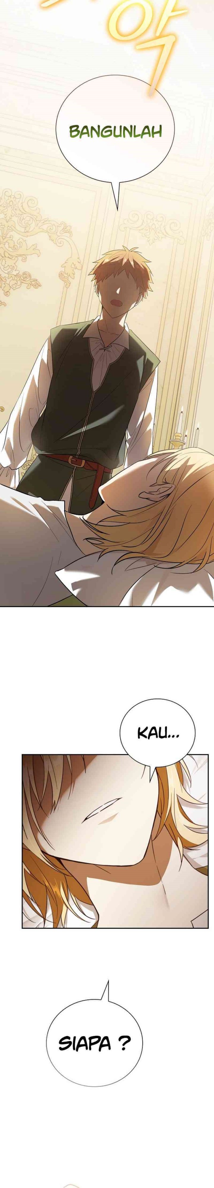 Reincarnated as the Archduke’s Son (A Mercenary’s Rebirth Among Nobles) chapter 1