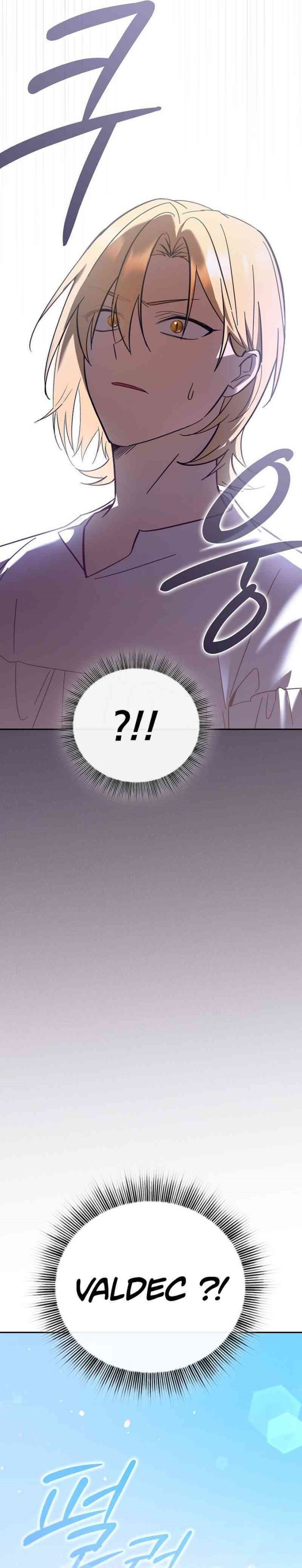 Reincarnated as the Archduke’s Son (A Mercenary’s Rebirth Among Nobles) chapter 2