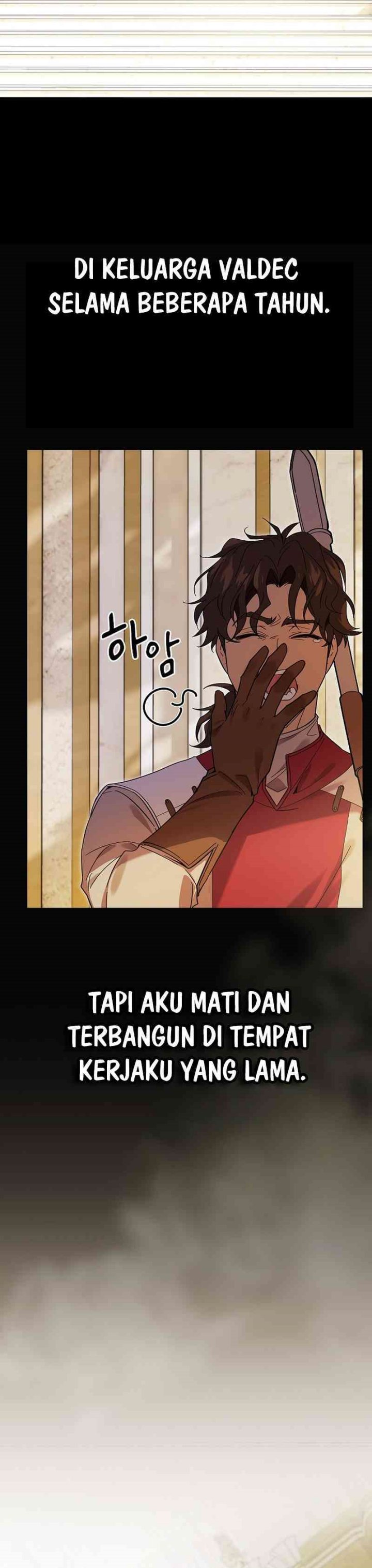 Reincarnated as the Archduke’s Son (A Mercenary’s Rebirth Among Nobles) chapter 2