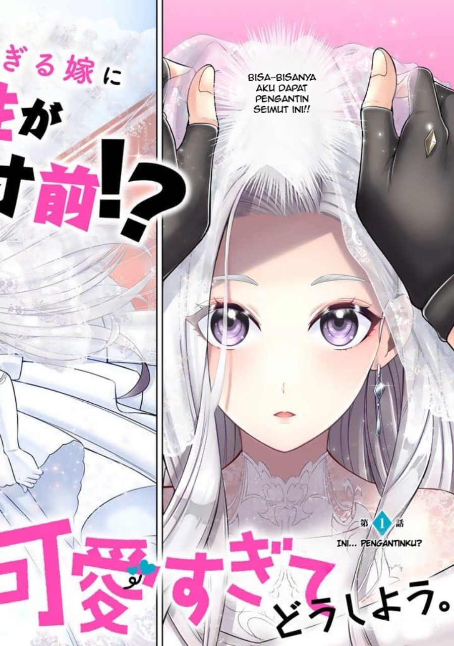Rinkoku kara Kita Yome ga Kawaisugite Doushiyou chapter 1