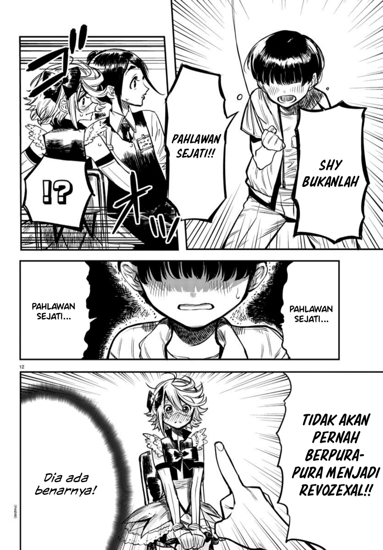 SHY chapter 12