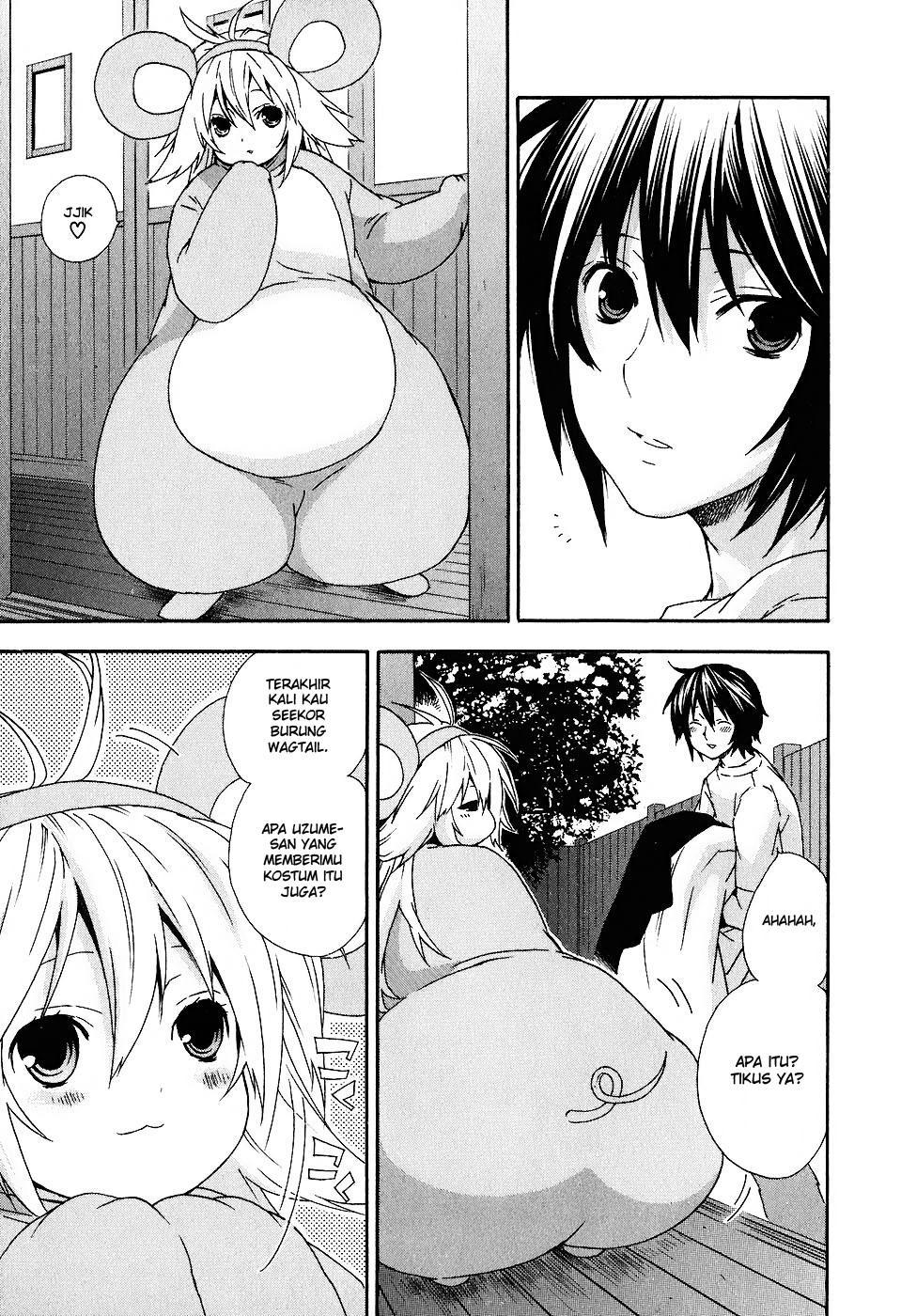 Sekirei Chapter 33