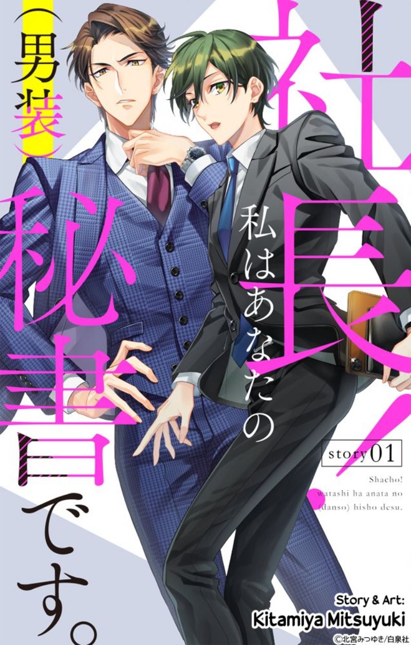 Shachou! Watashi wa Anata no (Dansou) Hisho desu. chapter 1