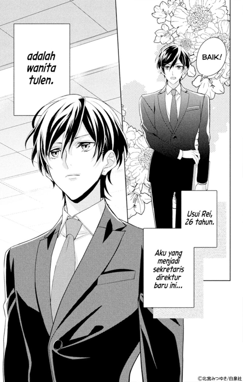Shachou! Watashi wa Anata no (Dansou) Hisho desu. chapter 1