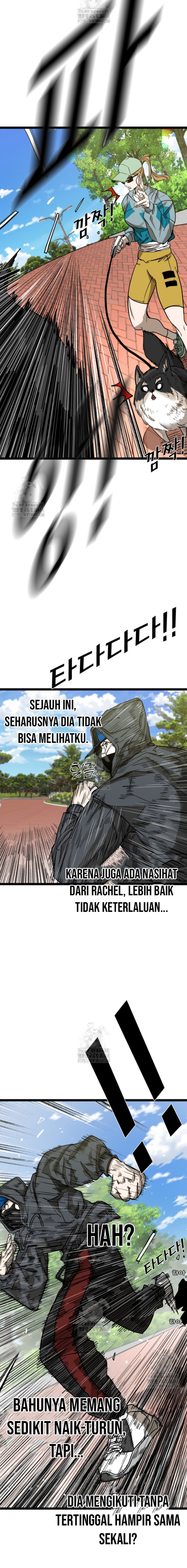 Shark chapter 371