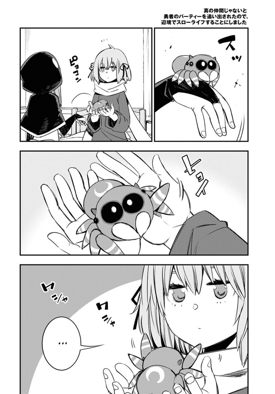 Shin no Nakama janai to Yuusha no Party wo Oidasareta node Henkyou de Slow Life suru Koto ni shimashit chapter 46