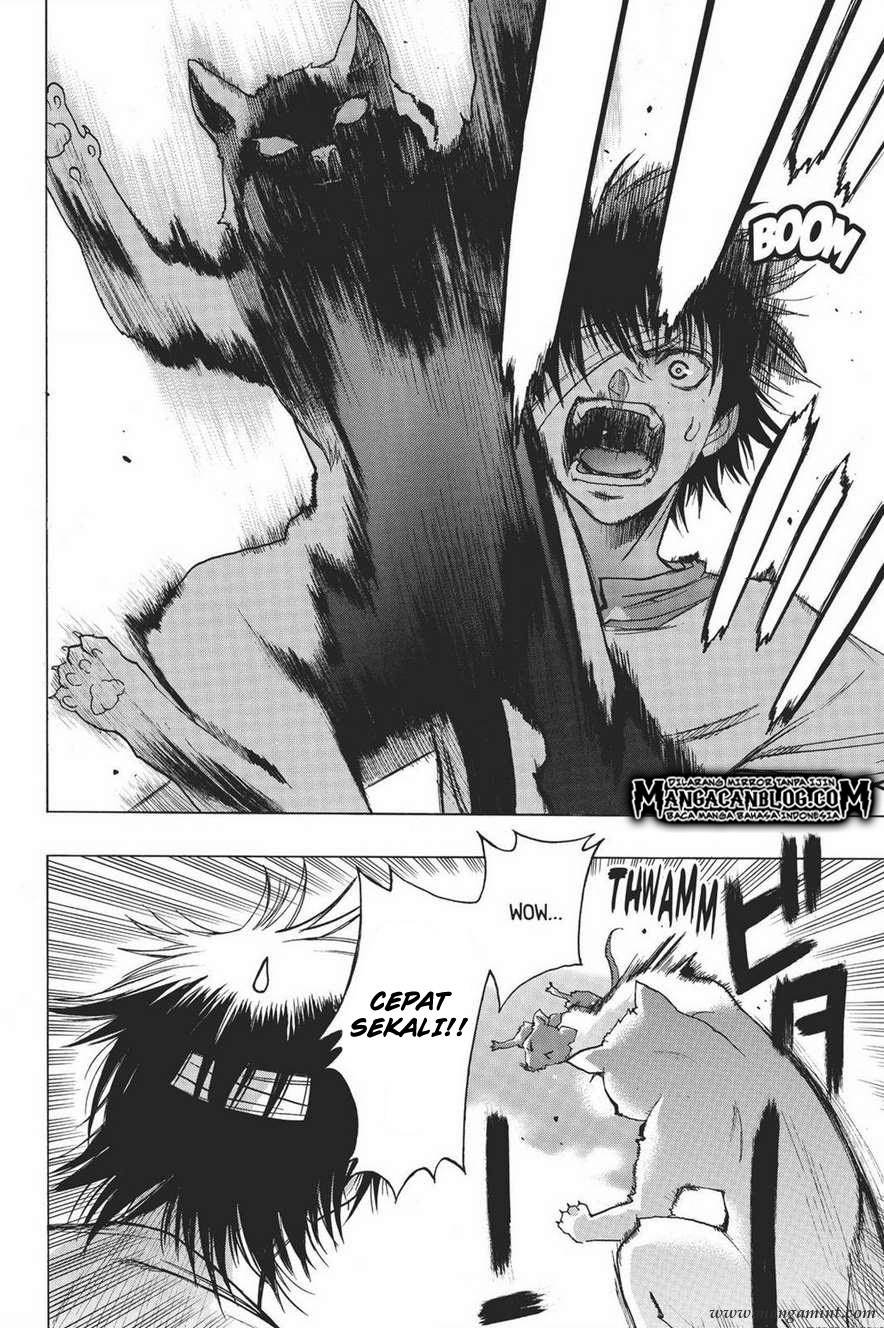 Shingeki no Kyojin: Before the Fall Chapter 13 Bahasa Indonesia