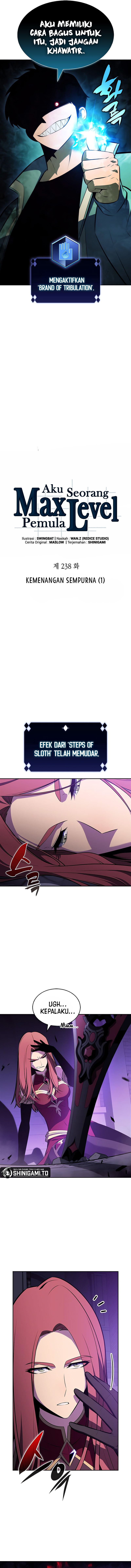Solo Max-Level Newbie Chapter 238 Bahasa Indonesia