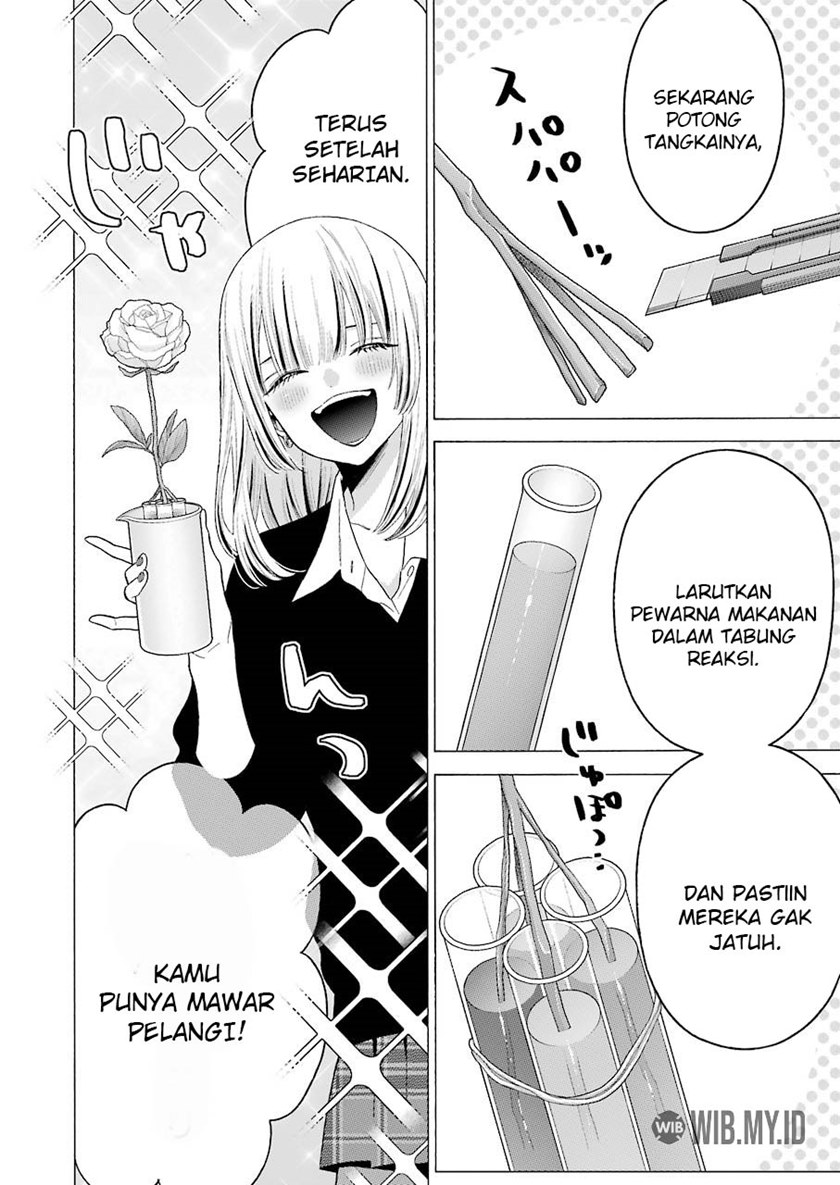 Sono Bisque Doll wa Koi wo suru chapter 59