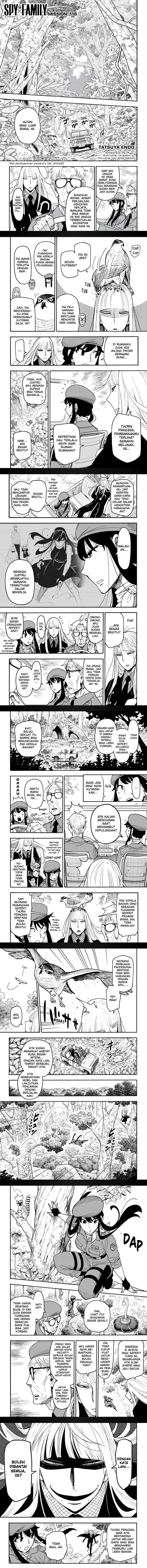 Spy X Family chapter 116
