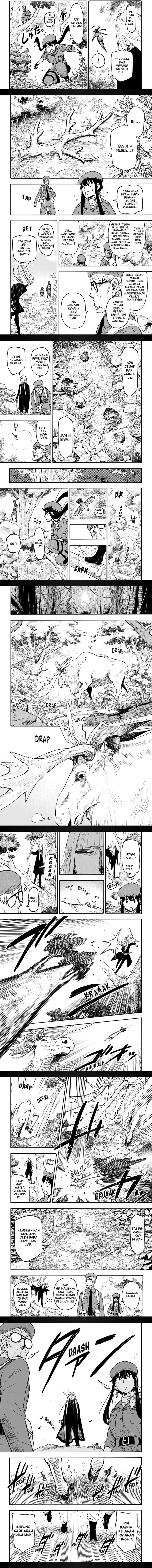 Spy X Family chapter 116
