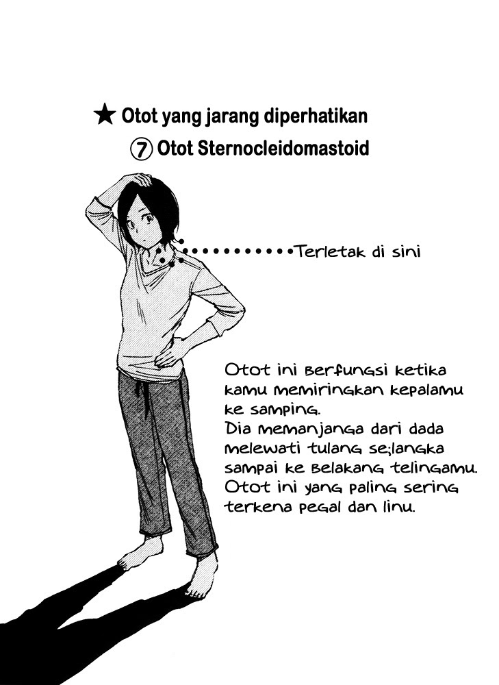 Stretch chapter 18