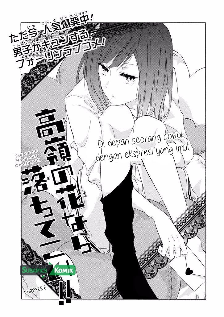 Takane no Hana nara Ochitekoi!! chapter 8
