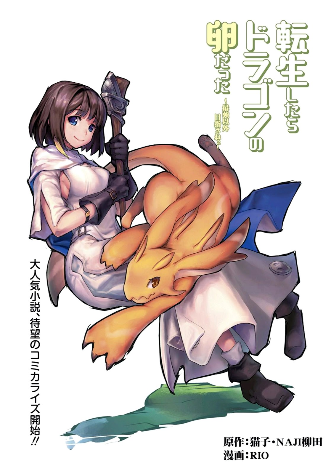 Tensei shitara Dragon no Tamago datta: Saikyou Igai Mezasanee chapter null