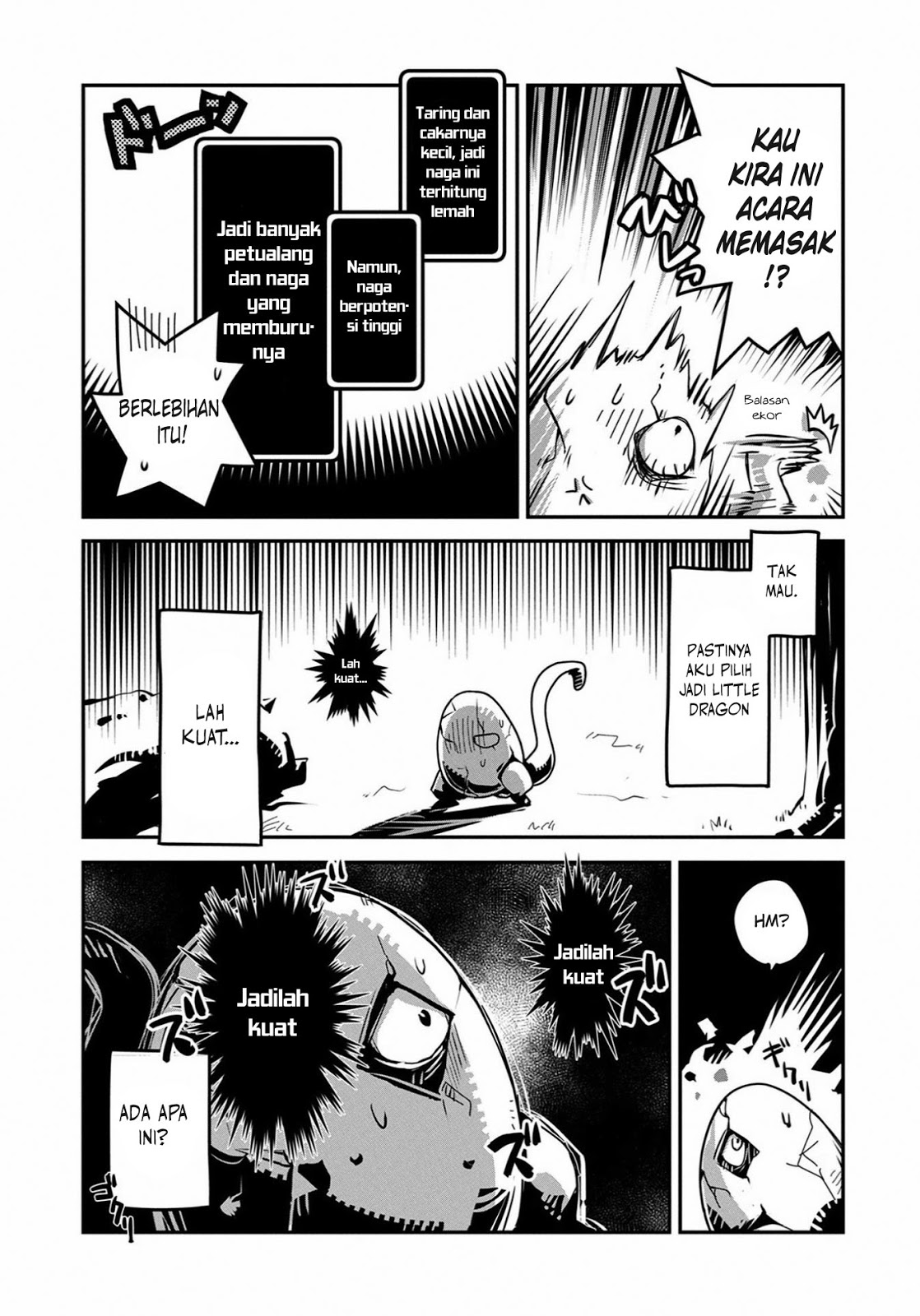 Tensei shitara Dragon no Tamago datta: Saikyou Igai Mezasanee chapter null