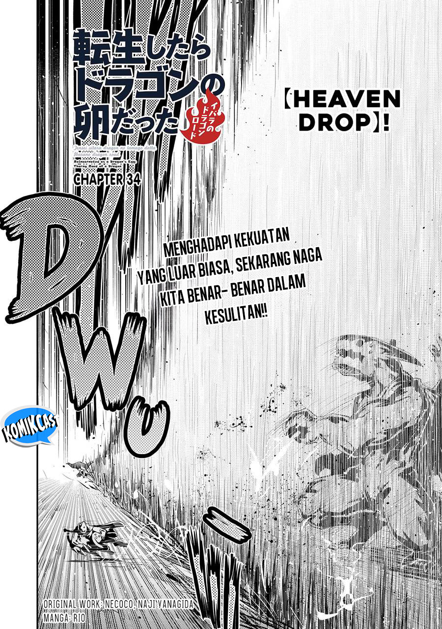 Tensei shitara Dragon no Tamago datta: Saikyou Igai Mezasanee chapter 34