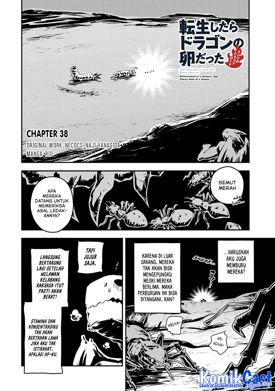 Tensei shitara Dragon no Tamago datta: Saikyou Igai Mezasanee chapter 38