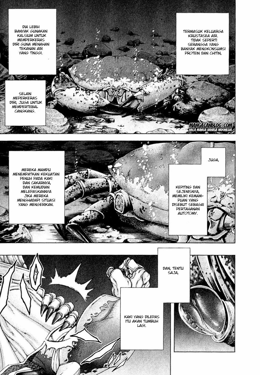 Terra Formars 2 Chapter 26