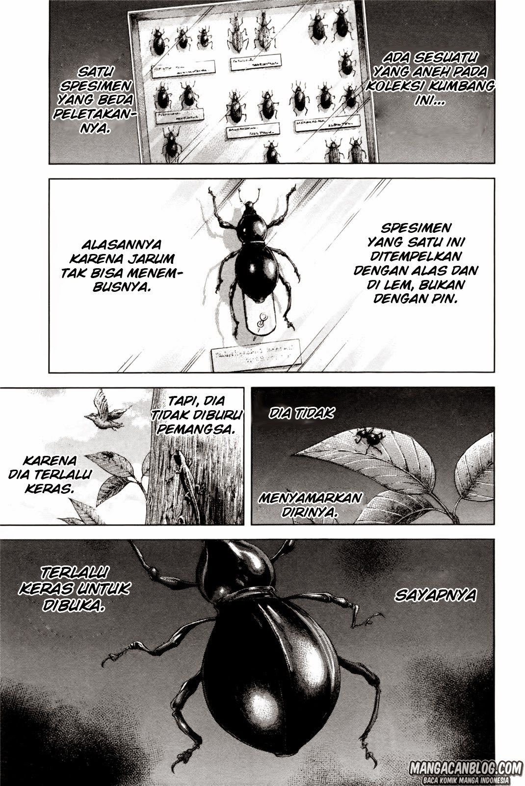 Terra Formars 2 chapter 38