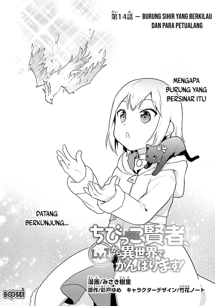 The Small Sage Will Try Her Best in the Different World from Lv. 1! chapter 14